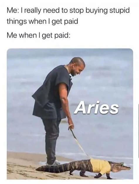 aries funny